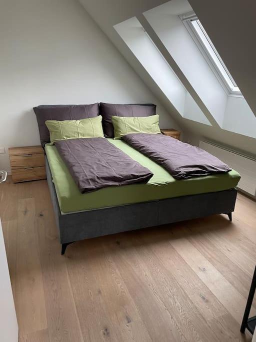 Gemuetliche & Zentrale Wohnung In Der Stadt Zuerich Εξωτερικό φωτογραφία